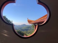 -深圳仙湖植物园