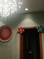 -卡尔诗·科技美肤连锁