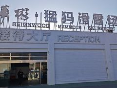 -华彬猛犸滑雪场