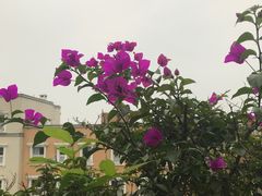 -写庭·鱼鲜川菜·宴请(铁像寺水街店)