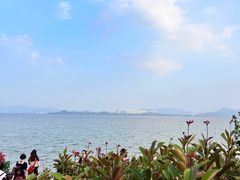 -深圳湾公园(南山区)