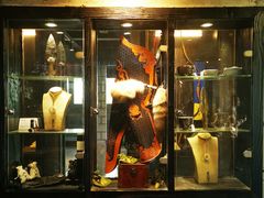 -禅射堂(嘉善越里店)