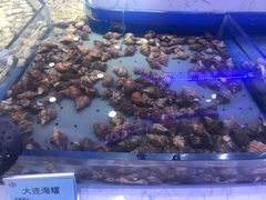 -澜悦港海鲜体验主题餐厅