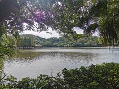 -西樵山风景名胜区-天湖公园