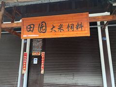 -安仁古镇