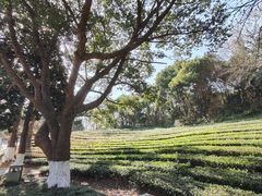 -敬亭山风景名胜区