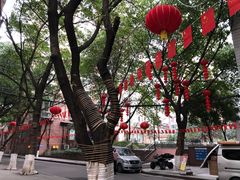 -重庆医科大学附属第一医院(本部)