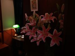 -赵小姐的店(鼓浪屿三友店)