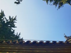 -涂山风景区