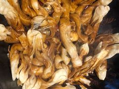 -华盛园卷子王农家菜水库鱼