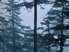 -华山风景名胜区