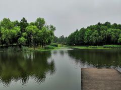 -尚贤河湿地