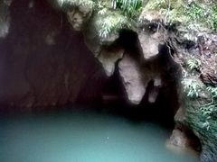 -怀托摩萤火虫洞