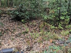 -潜山国家森林公园