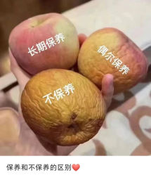 -薇薇安花系SPA