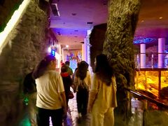 -乐山乌木文化博览苑