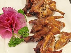 -肥佬椰子鸡(文锦渡店)
