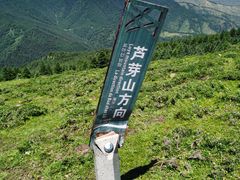 -芦芽山旅游度假区