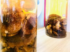 -鲜菌江湖正宗野生菌火锅
