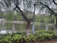 -孺子亭公园