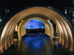 -迪拜帆船酒店海底餐厅