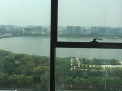 -天津滨海圣光皇冠假日酒店