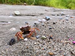 -海窝子古镇