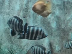 -东方巨龟苑景区