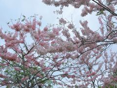 -白石龙音乐公园
