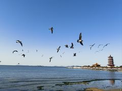 -八仙过海景区