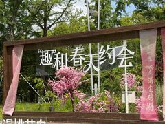-金鸡湖桃花岛