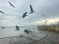 -星海广场