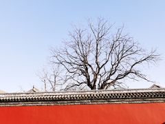 -历代帝王庙博物馆