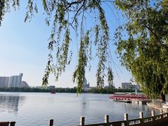 -莲花池公园