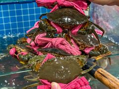 -辣螃铠盆盆蟹大排档(总店)