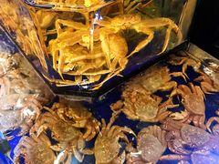 -蟹道乐(道顿堀本店)