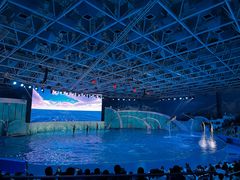 -海合安青岛极地海洋公园