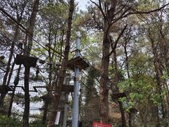 -芦仙山景区-飞越丛林探险乐园