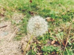 -七的湖·晚芳亭·阳澄湖农家菜·大闸蟹(莲花岛店)
