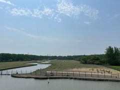 -溱湖国家湿地公园