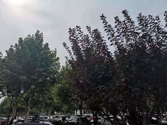 -New Balance(王府井奥莱·香江小镇店)