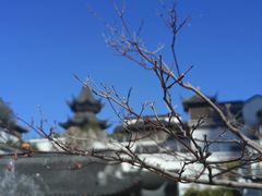 -江宁织造博物馆