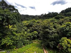 -深圳仙湖植物园