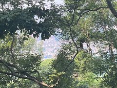 -大蜀山国家森林公园