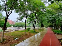 -绿岛公园(滨海新区)