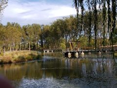 -东郊湿地公园