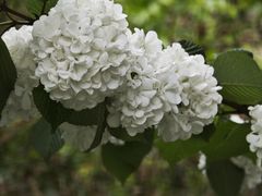 -东天目山风景区