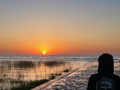 -南汇嘴观海公园