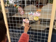 -必胜客(银盆路店)