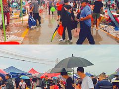 -青岛沙子口国家中心渔港